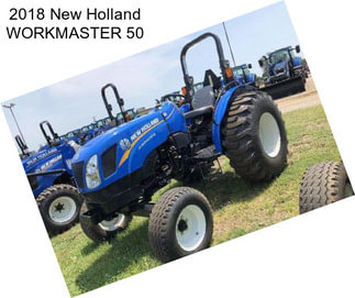 2018 New Holland WORKMASTER 50