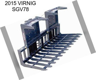 2015 VIRNIG SGV78