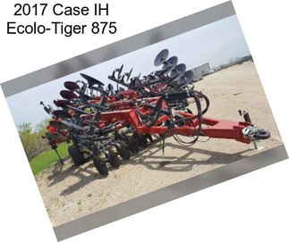 2017 Case IH Ecolo-Tiger 875