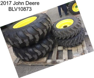 2017 John Deere BLV10873