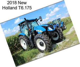 2018 New Holland T6.175