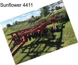 Sunflower 4411