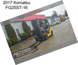 2017 Komatsu FG25ST-16