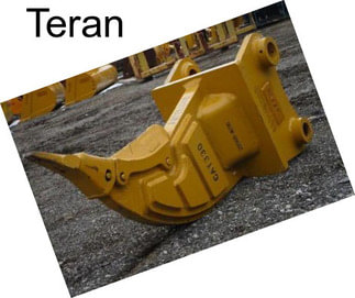 Teran