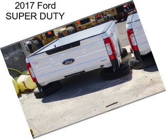 2017 Ford SUPER DUTY