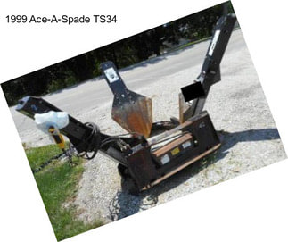 1999 Ace-A-Spade TS34