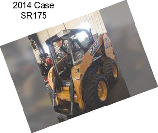2014 Case SR175