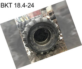 BKT 18.4-24