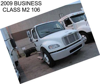 2009 BUSINESS CLASS M2 106