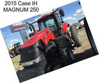 2015 Case IH MAGNUM 250