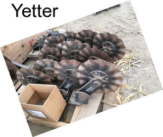 Yetter