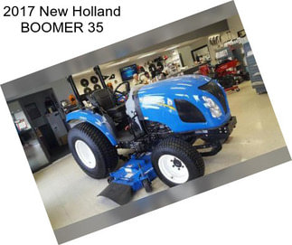 2017 New Holland BOOMER 35