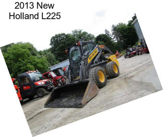 2013 New Holland L225