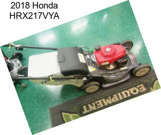 2018 Honda HRX217VYA