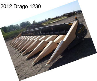 2012 Drago 1230