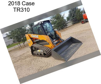 2018 Case TR310