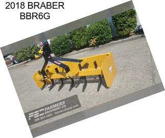 2018 BRABER BBR6G