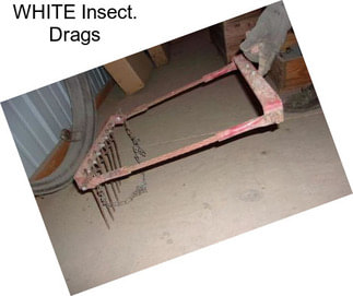 WHITE Insect. Drags