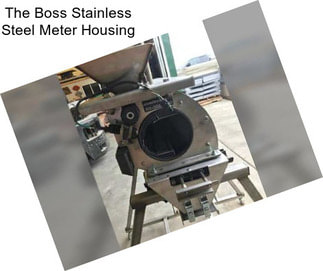 The Boss Stainless Steel Meter Housing