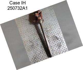 Case IH 250732A1