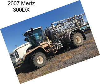 2007 Mertz 300DX