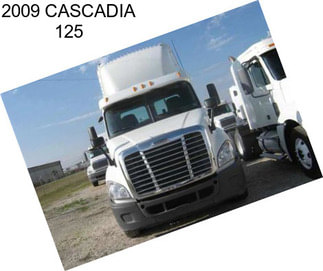 2009 CASCADIA 125