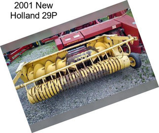 2001 New Holland 29P