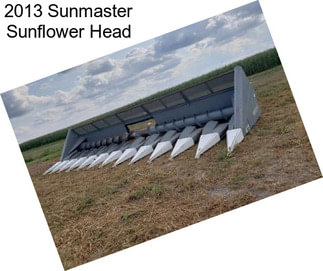 2013 Sunmaster Sunflower Head