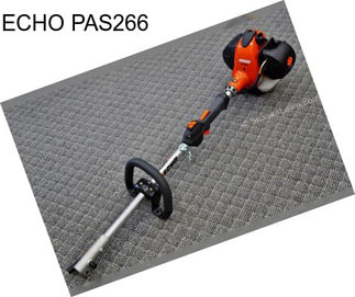 ECHO PAS266