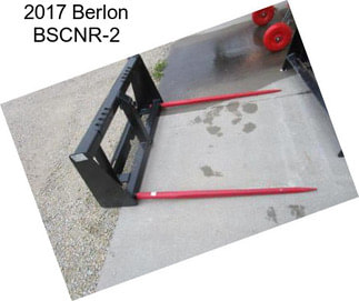 2017 Berlon BSCNR-2