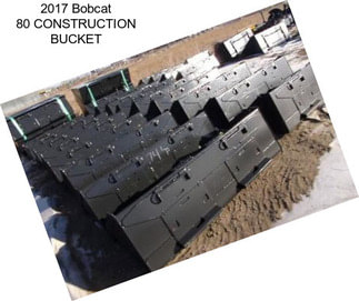 2017 Bobcat 80\