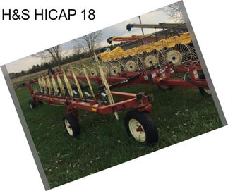 H&S HICAP 18