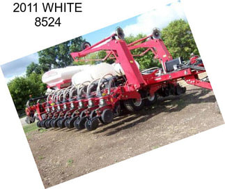 2011 WHITE 8524