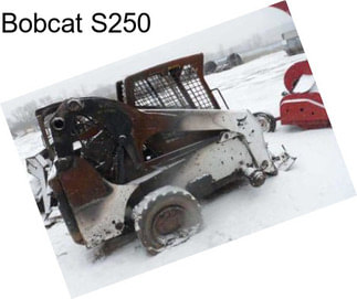 Bobcat S250