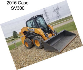 2016 Case SV300