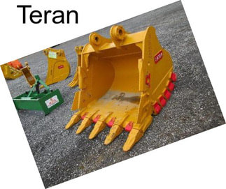 Teran