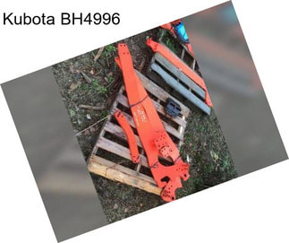 Kubota BH4996