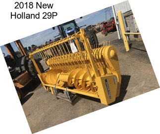 2018 New Holland 29P