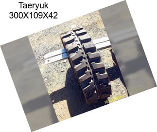 Taeryuk 300X109X42