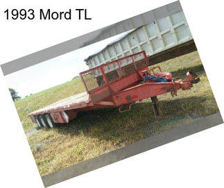 1993 Mord TL