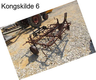 Kongskilde 6