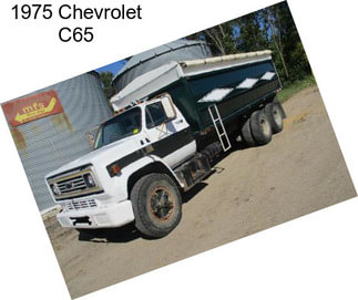 1975 Chevrolet C65