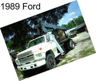 1989 Ford