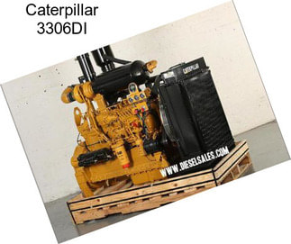 Caterpillar 3306DI