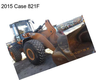 2015 Case 821F