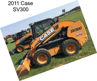 2011 Case SV300