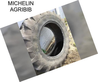 MICHELIN AGRIBIB