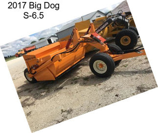 2017 Big Dog S-6.5