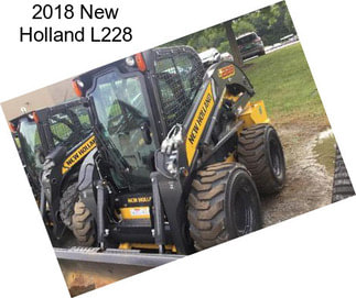 2018 New Holland L228