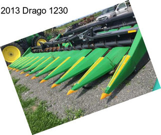 2013 Drago 1230